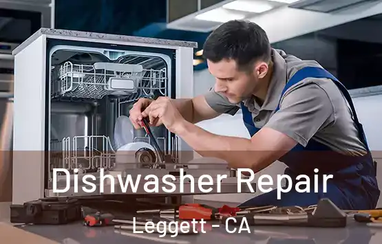  Dishwasher Repair Leggett - CA