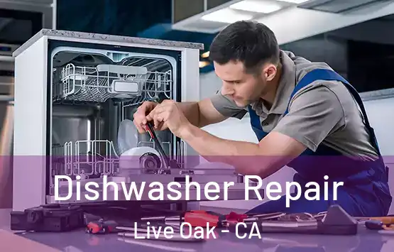  Dishwasher Repair Live Oak - CA