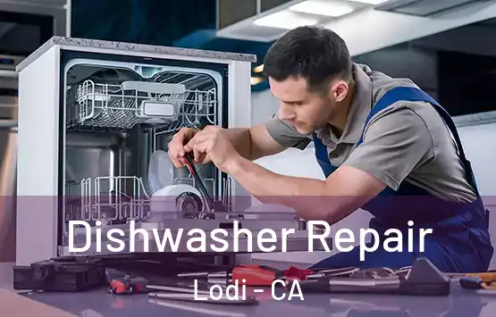  Dishwasher Repair Lodi - CA