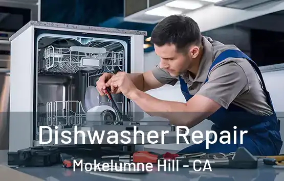  Dishwasher Repair Mokelumne Hill - CA