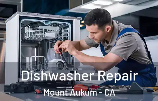  Dishwasher Repair Mount Aukum - CA