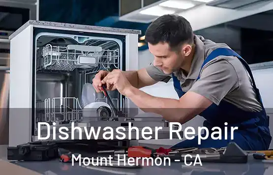  Dishwasher Repair Mount Hermon - CA