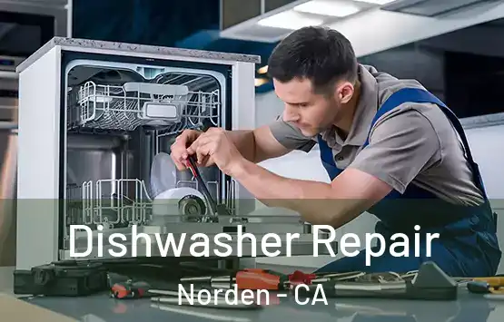  Dishwasher Repair Norden - CA