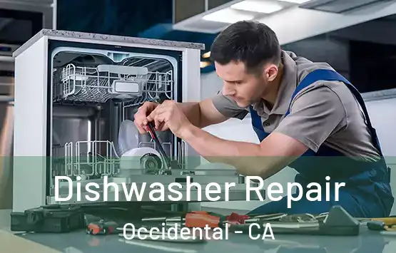  Dishwasher Repair Occidental - CA