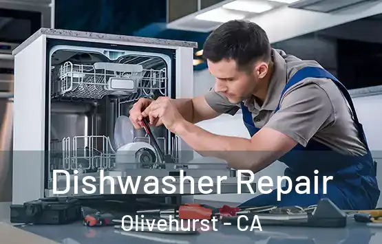  Dishwasher Repair Olivehurst - CA