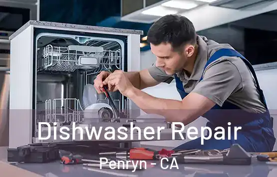  Dishwasher Repair Penryn - CA