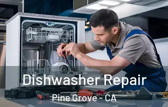  Dishwasher Repair Pine Grove - CA