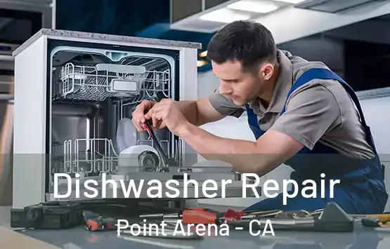  Dishwasher Repair Point Arena - CA