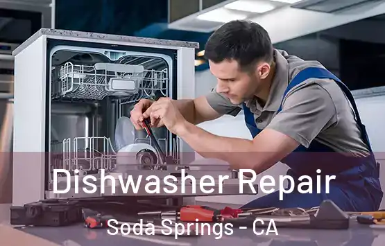  Dishwasher Repair Soda Springs - CA