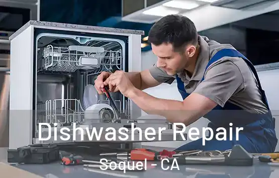  Dishwasher Repair Soquel - CA
