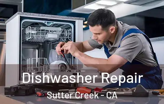  Dishwasher Repair Sutter Creek - CA