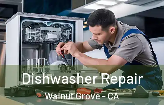  Dishwasher Repair Walnut Grove - CA