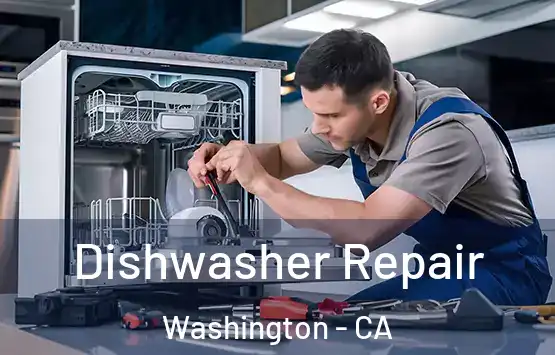  Dishwasher Repair Washington - CA