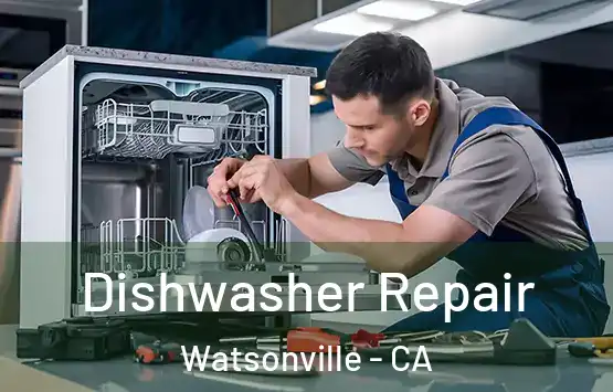  Dishwasher Repair Watsonville - CA