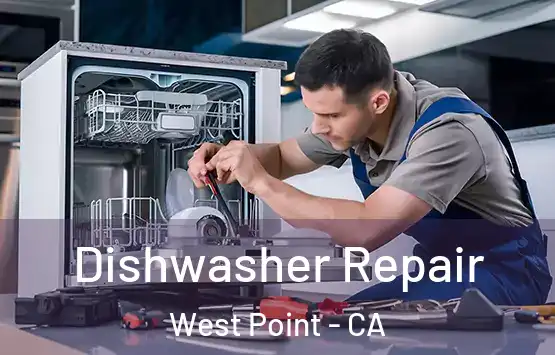  Dishwasher Repair West Point - CA