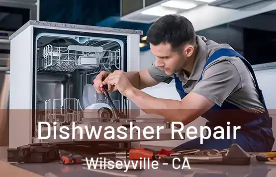  Dishwasher Repair Wilseyville - CA