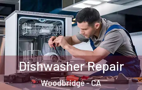  Dishwasher Repair Woodbridge - CA
