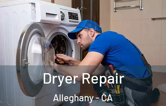  Dryer Repair Alleghany - CA