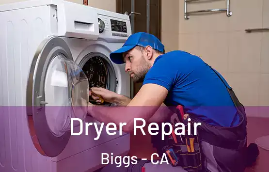  Dryer Repair Biggs - CA