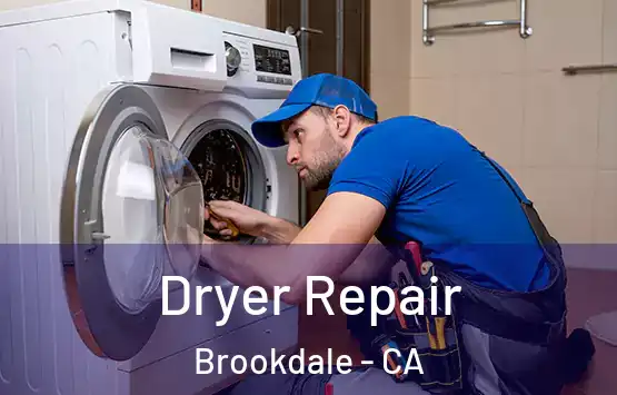  Dryer Repair Brookdale - CA