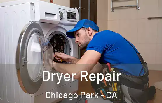  Dryer Repair Chicago Park - CA