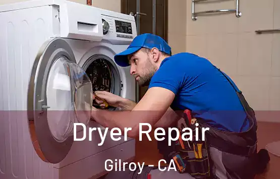  Dryer Repair Gilroy - CA