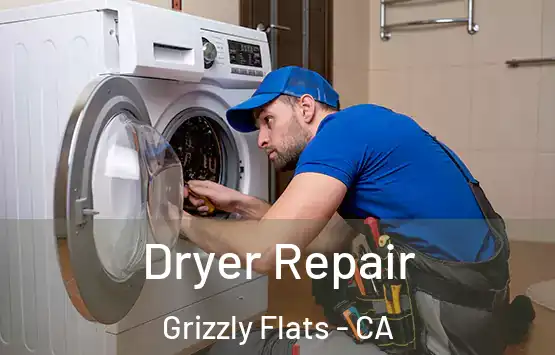 Dryer Repair Grizzly Flats - CA