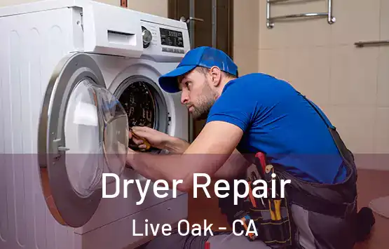  Dryer Repair Live Oak - CA