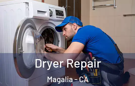  Dryer Repair Magalia - CA