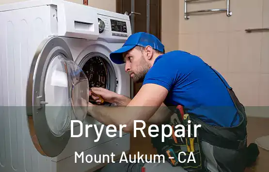  Dryer Repair Mount Aukum - CA