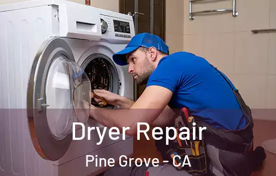  Dryer Repair Pine Grove - CA