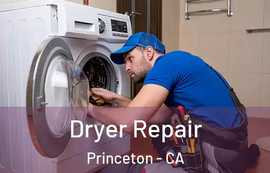  Dryer Repair Princeton - CA
