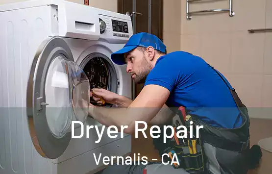  Dryer Repair Vernalis - CA