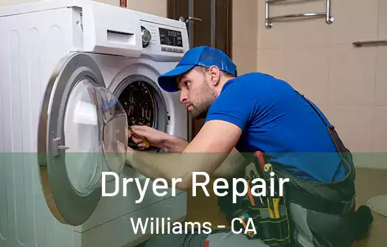  Dryer Repair Williams - CA