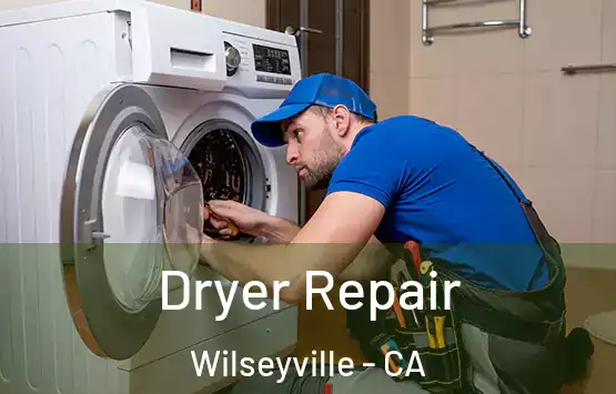  Dryer Repair Wilseyville - CA