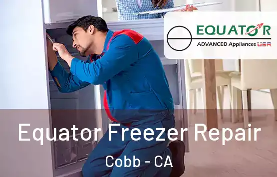  Equator Freezer Repair Cobb - CA