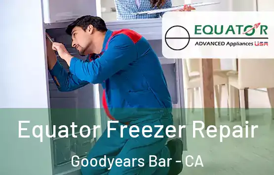  Equator Freezer Repair Goodyears Bar - CA