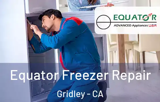  Equator Freezer Repair Gridley - CA