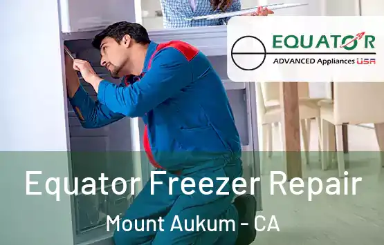  Equator Freezer Repair Mount Aukum - CA