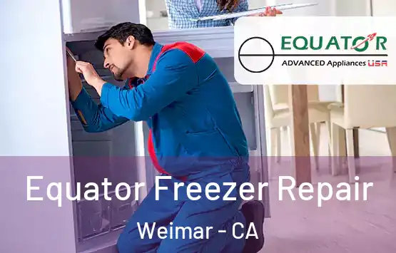  Equator Freezer Repair Weimar - CA