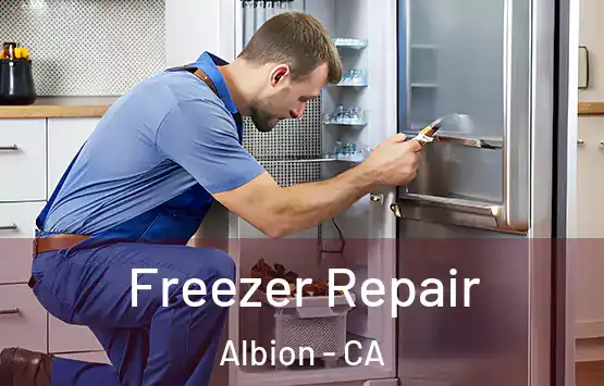  Freezer Repair Albion - CA