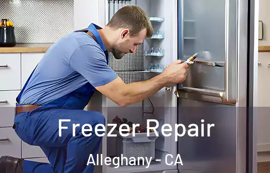  Freezer Repair Alleghany - CA