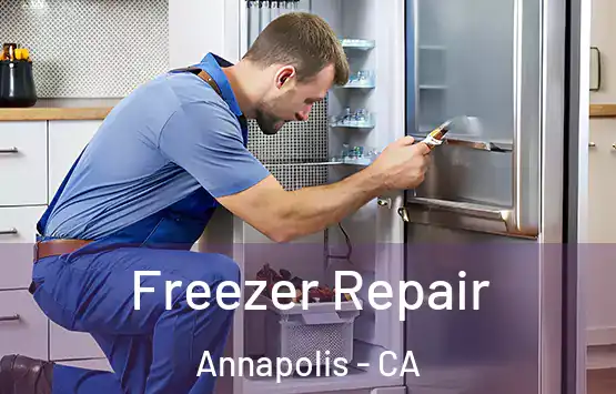  Freezer Repair Annapolis - CA