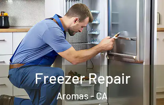  Freezer Repair Aromas - CA