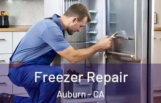  Freezer Repair Auburn - CA