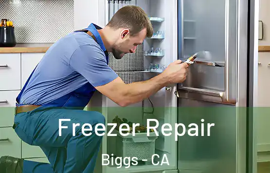  Freezer Repair Biggs - CA
