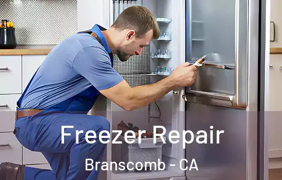  Freezer Repair Branscomb - CA