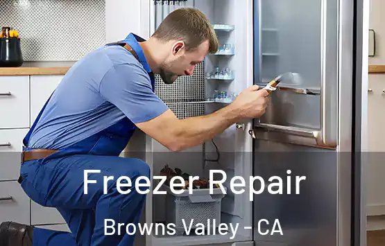  Freezer Repair Browns Valley - CA