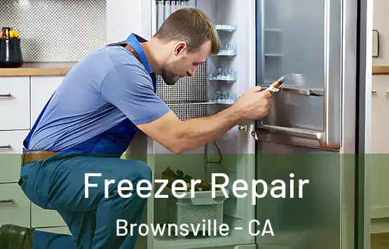  Freezer Repair Brownsville - CA