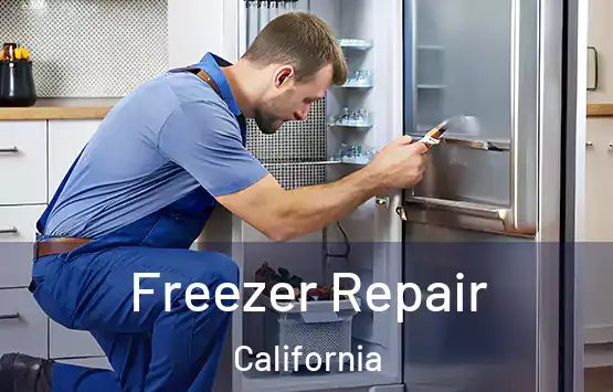  Freezer Repair California